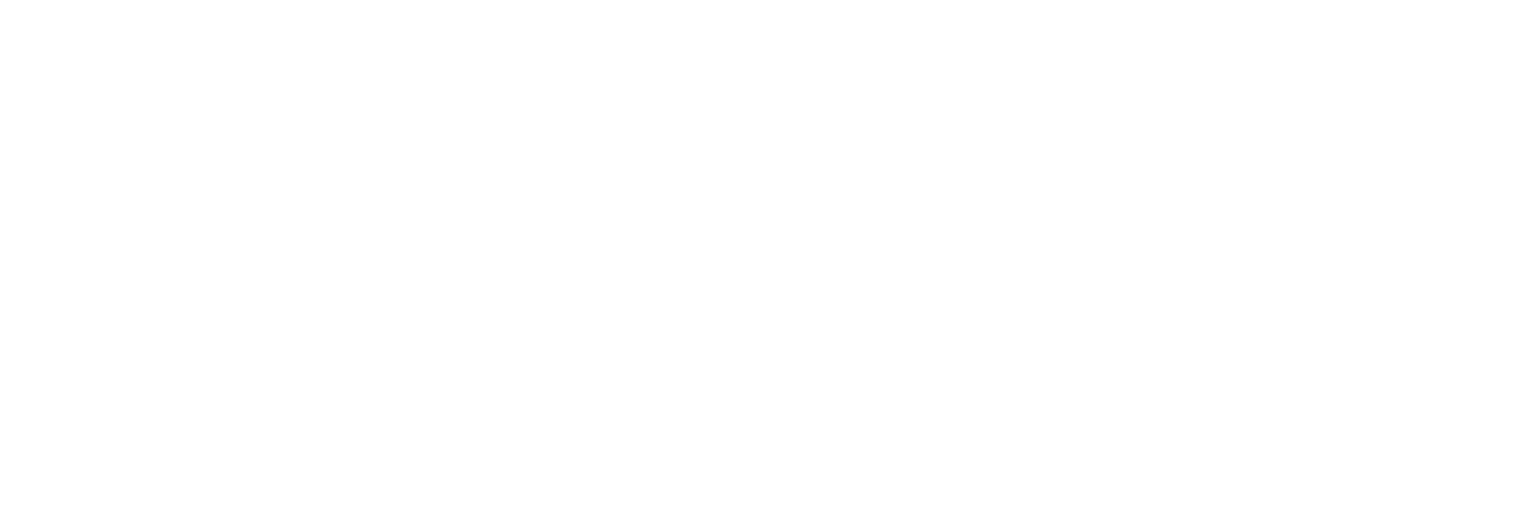 Protect My Ministry logo